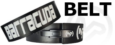 Belt